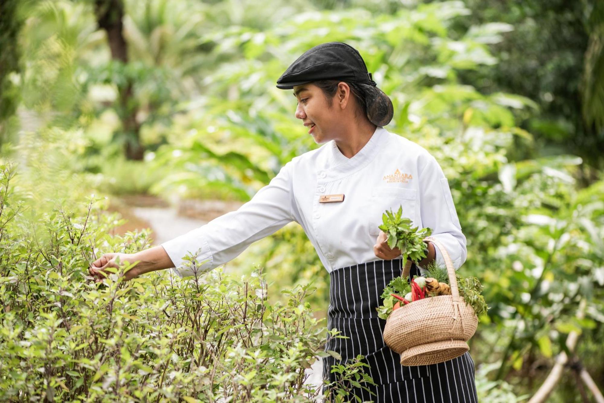 Anantara Koh Yao Yai Resort & Villas Ko Yao Εξωτερικό φωτογραφία